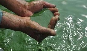 新发现！气候变化降低中国湖泊对有机污染物的埋藏能力